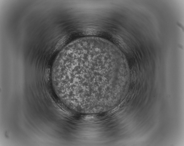 X0000097990171200804141150