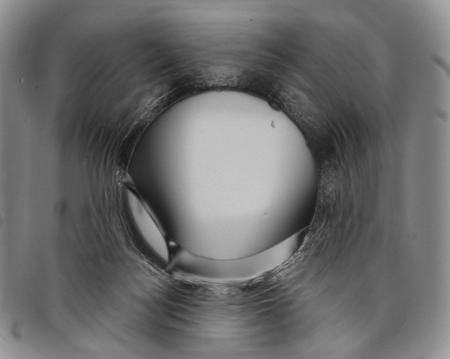 X0000097990172200804141150