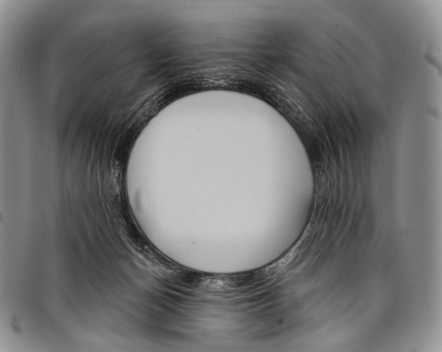 X0000097990174200804141150