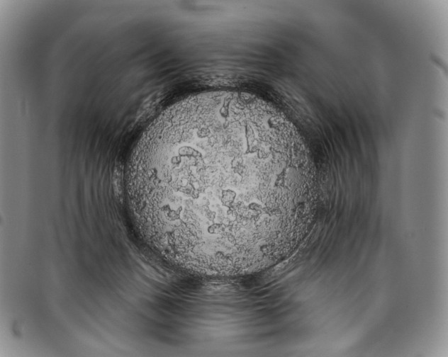 X0000097990175200804141150