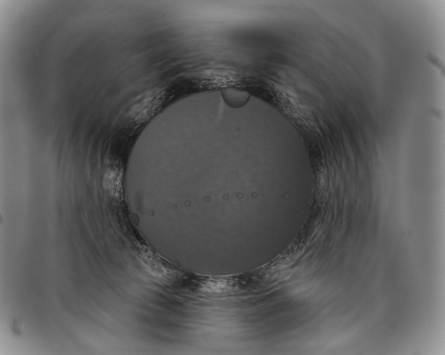 X0000097990177200804141151