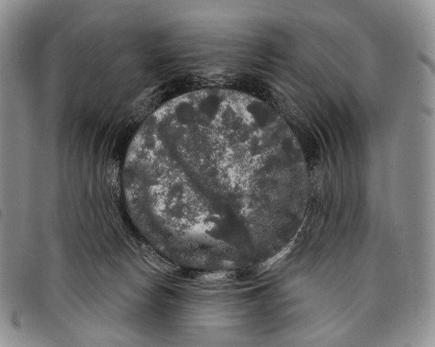 X0000097990178200804141151