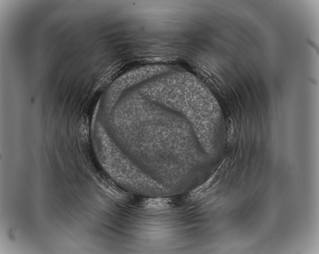 X0000097990179200804141151