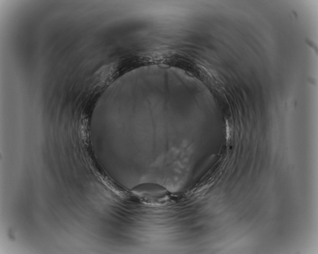 X0000097990181200804141151