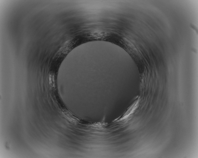 X0000097990182200804141151