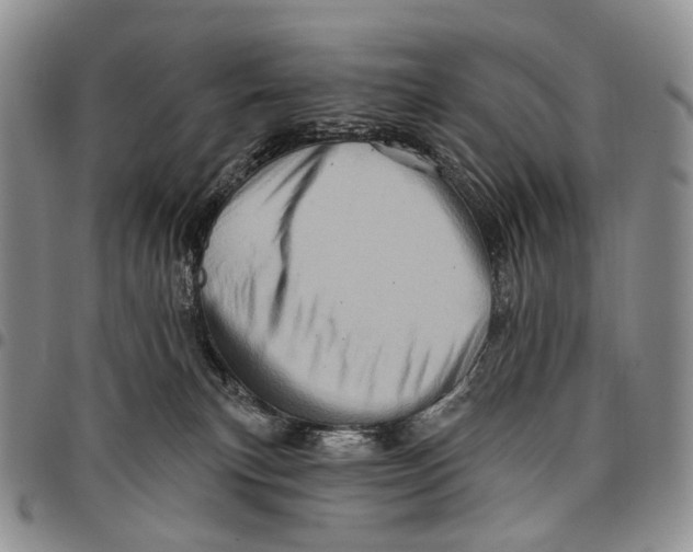 X0000097990183200804141151