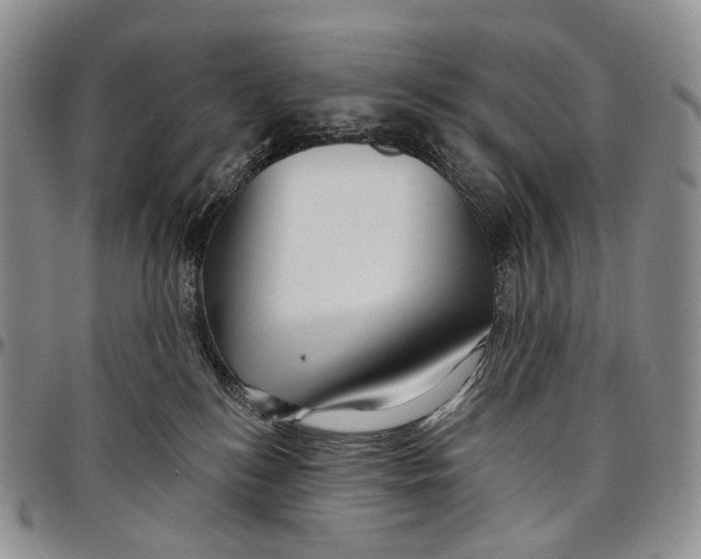 X0000097990184200804141151