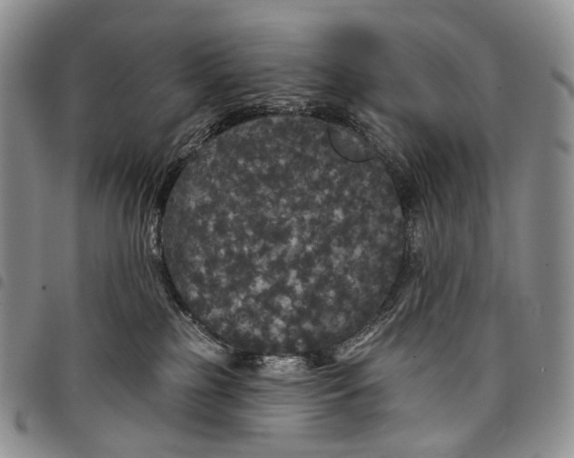 X0000097990185200804141151