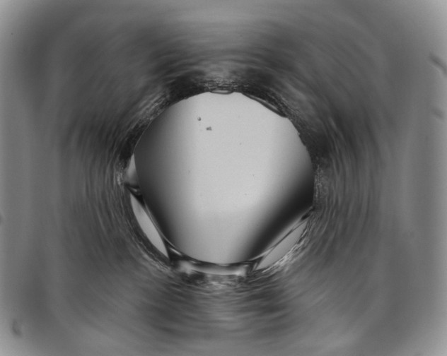 X0000097990188200804141151