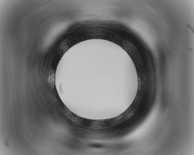 X0000097990190200804141151