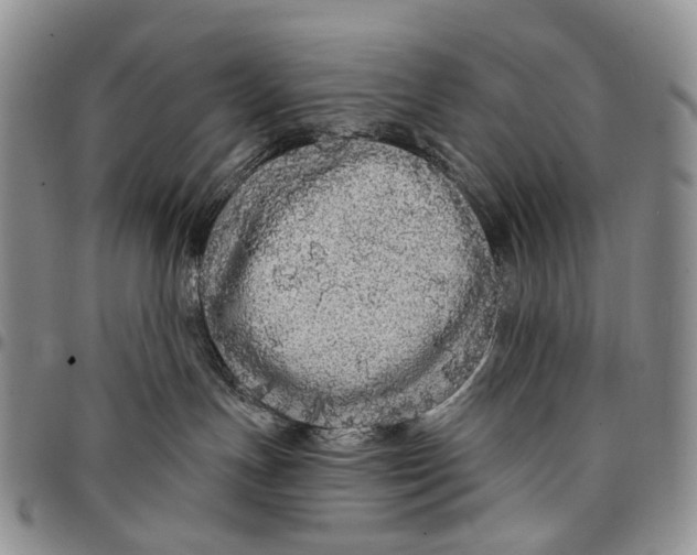 X0000097990191200804141151