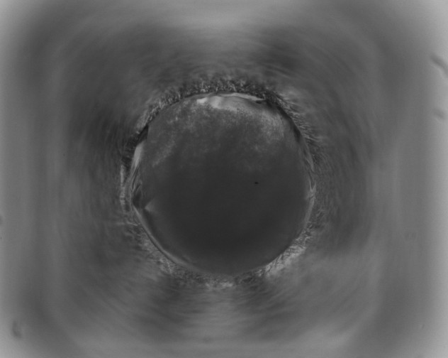 X0000097990192200804141151