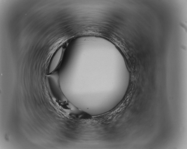 X0000097990193200804141150