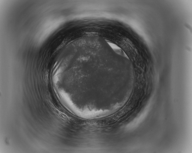 X0000097990194200804141150