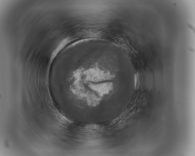 X0000097990195200804141150