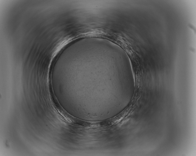 X0000097990196200804141150