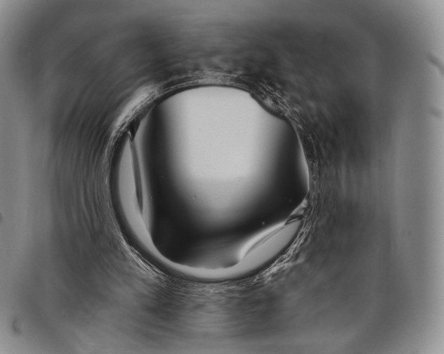 X0000097990197200804141150