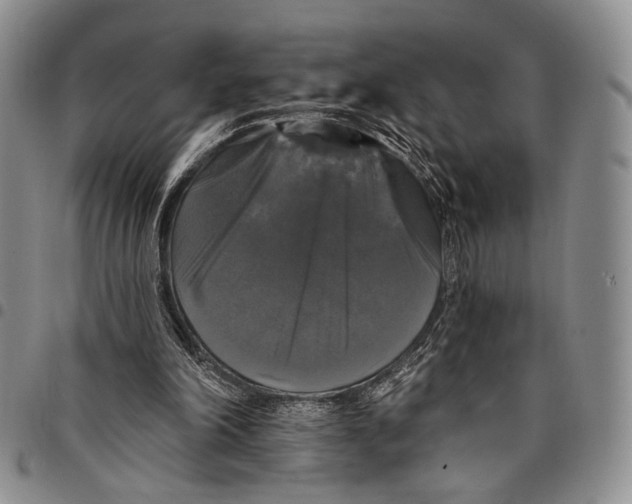 X0000097990198200804141150