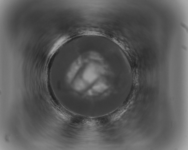 X0000097990199200804141150