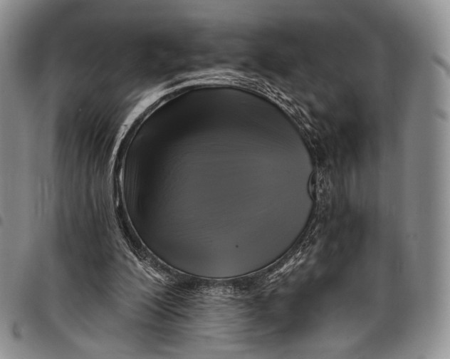 X0000097990200200804141150