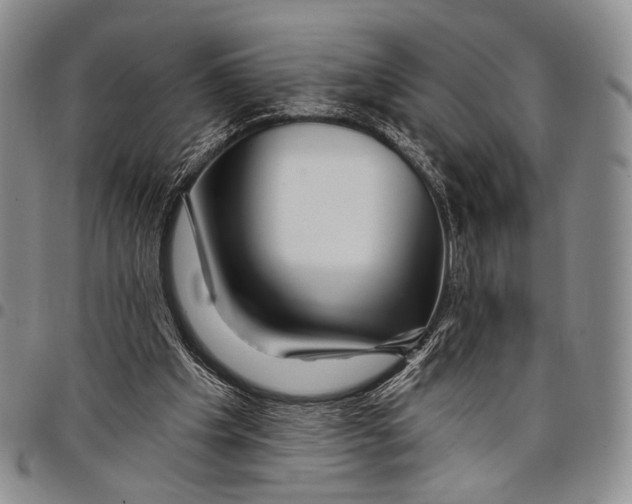 X0000097990201200804141150