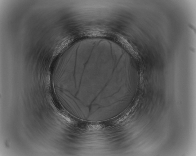 X0000097990202200804141150