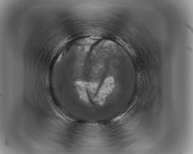 X0000097990203200804141150