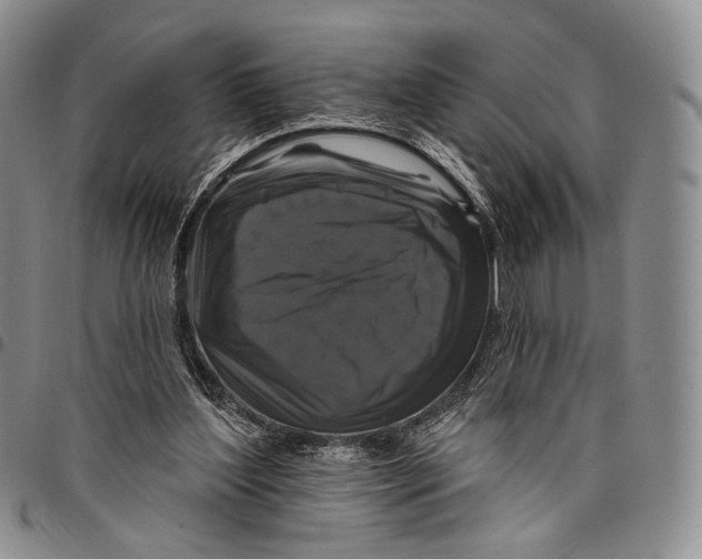 X0000097990204200804141150