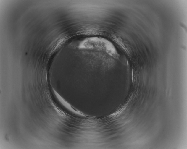 X0000097990205200804141150