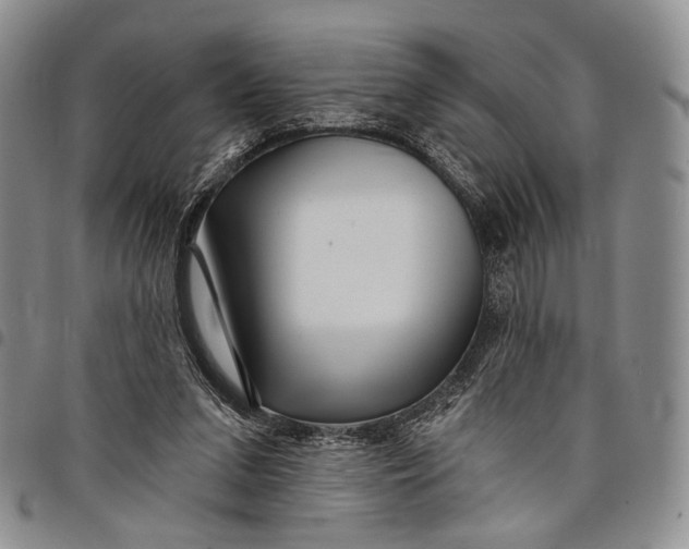 X0000097990207200804141150