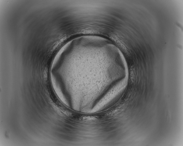 X0000097990208200804141150