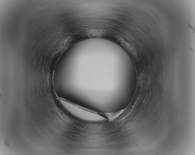 X0000097990209200804141150