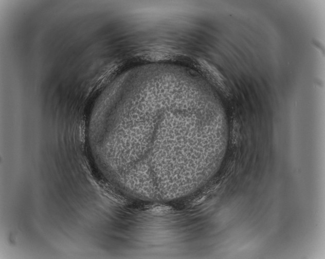 X0000097990210200804141150