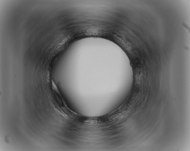 X0000097990211200804141150