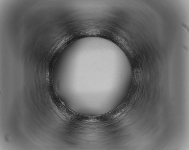 X0000097990212200804141150