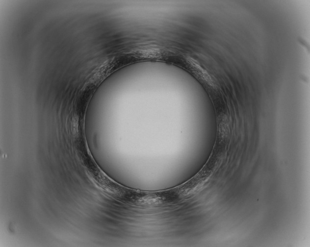 X0000097990213200804141150