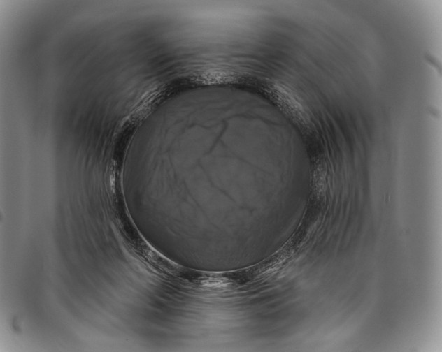 X0000097990214200804141150