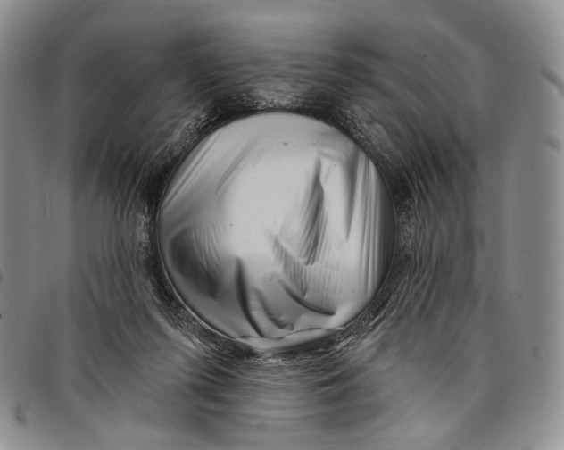 X0000097990215200804141150