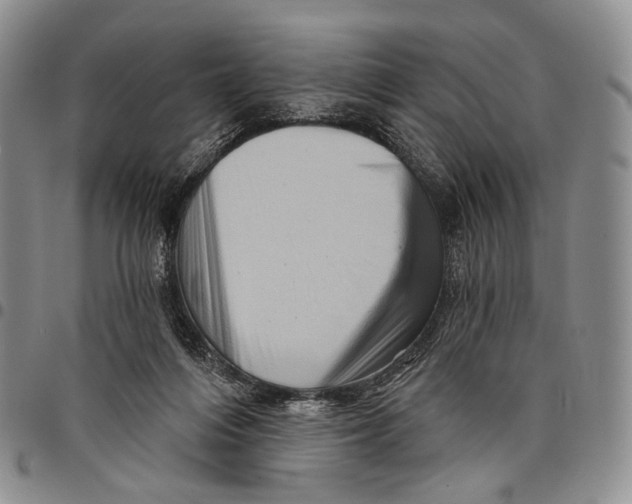 X0000097990216200804141150