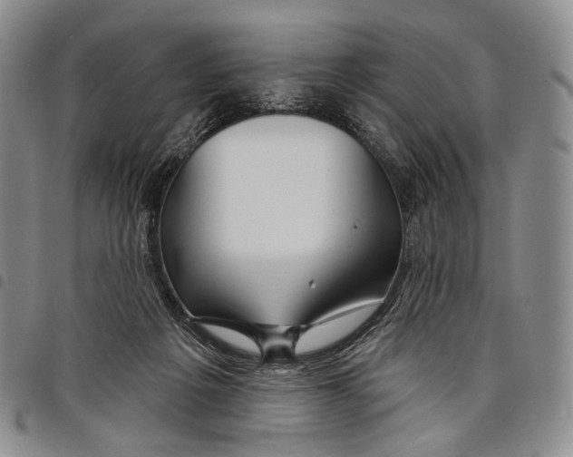 X0000097990217200804141150