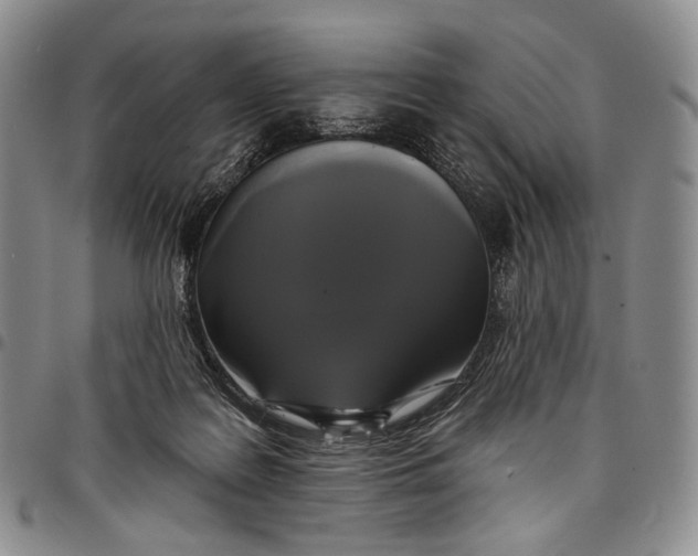 X0000097990219200804141150