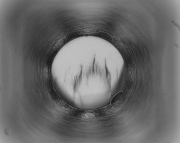 X0000097990220200804141149