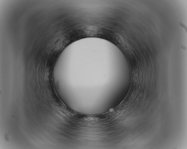 X0000097990221200804141149