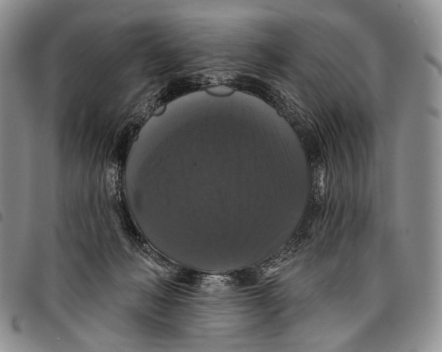 X0000097990222200804141149