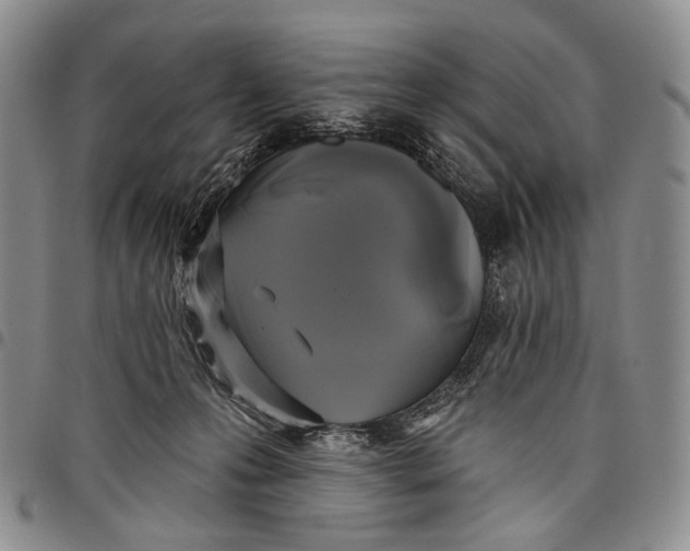 X0000097990223200804141149