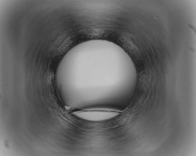 X0000097990225200804141149