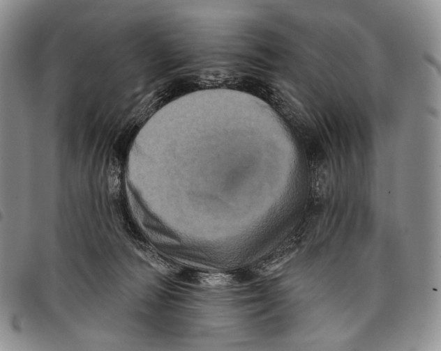 X0000097990226200804141149