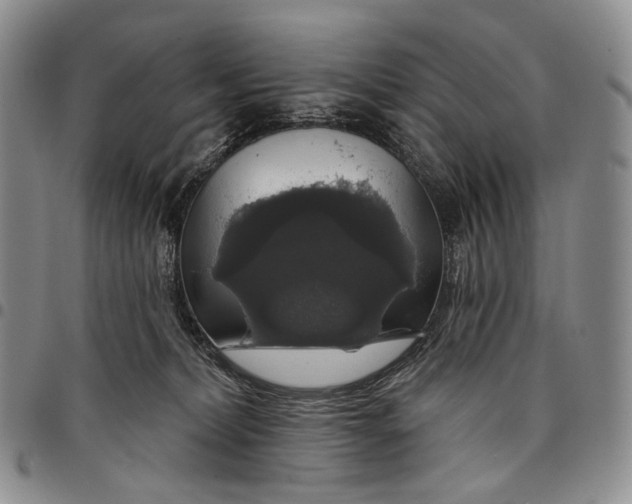 X0000097990228200804141149