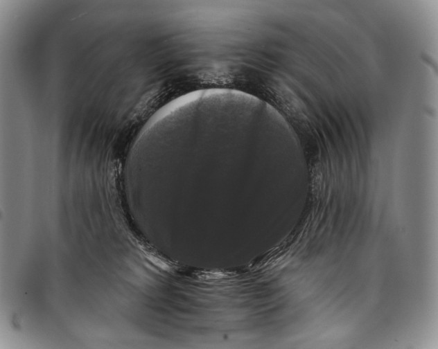 X0000097990229200804141149