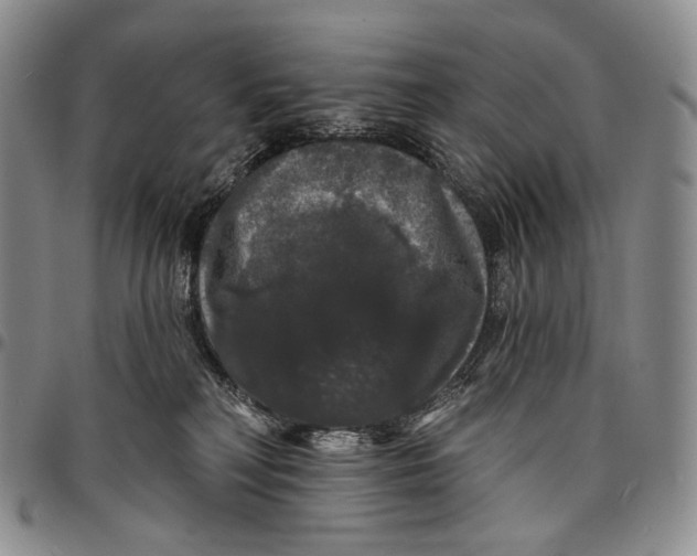 X0000097990230200804141149